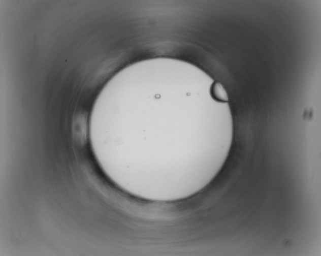 X0000110730028200907022121