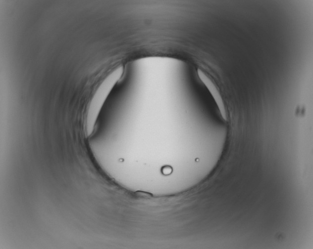 X0000110730029200907022121