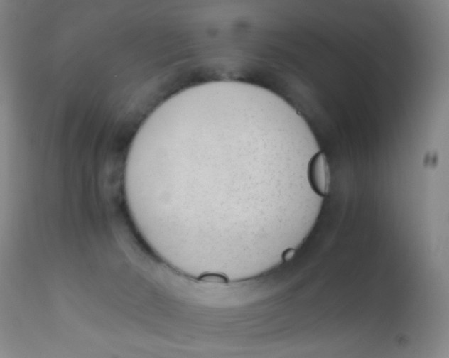 X0000110730030200907022121