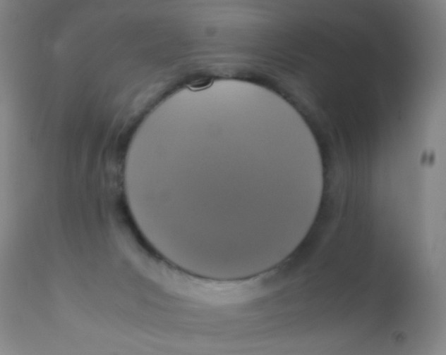 X0000110730031200907022121