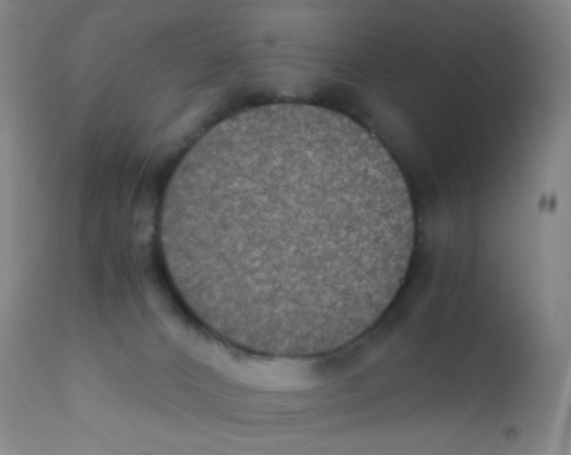 X0000110730032200907022121