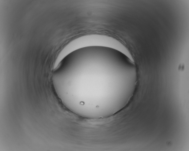 X0000110730033200907022121