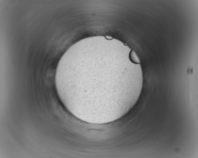 X0000110730034200907022121