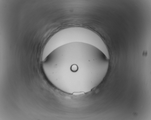 X0000110730035200907022121