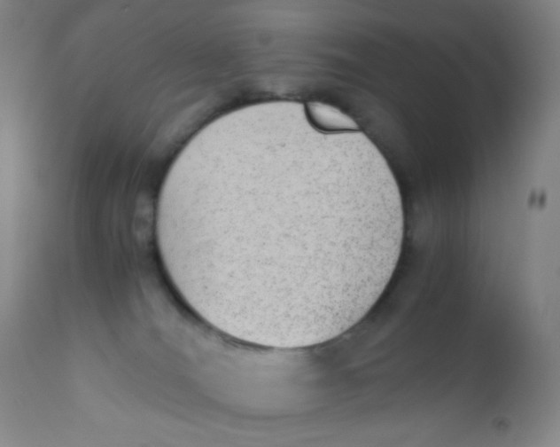 X0000110730036200907022121