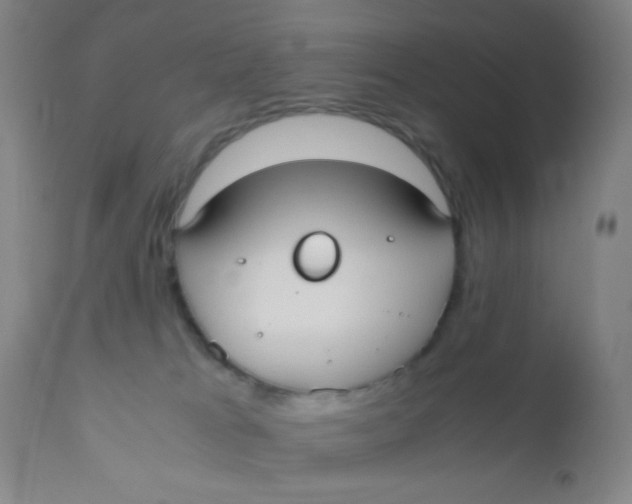 X0000110730037200907022120