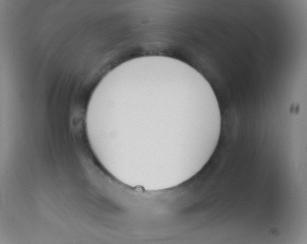 X0000110730038200907022120