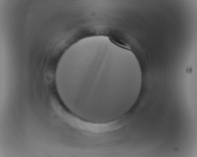 X0000110730039200907022120