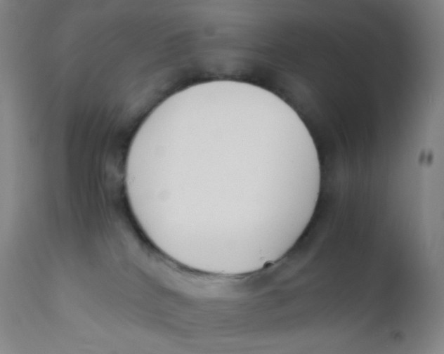 X0000110730040200907022120