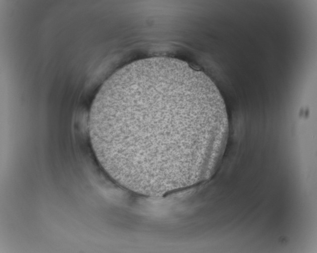 X0000110730041200907022120