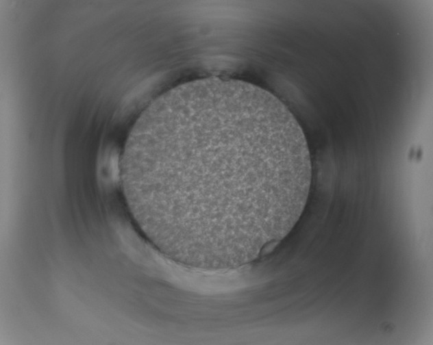 X0000110730042200907022120