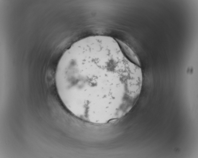 X0000110730043200907022120