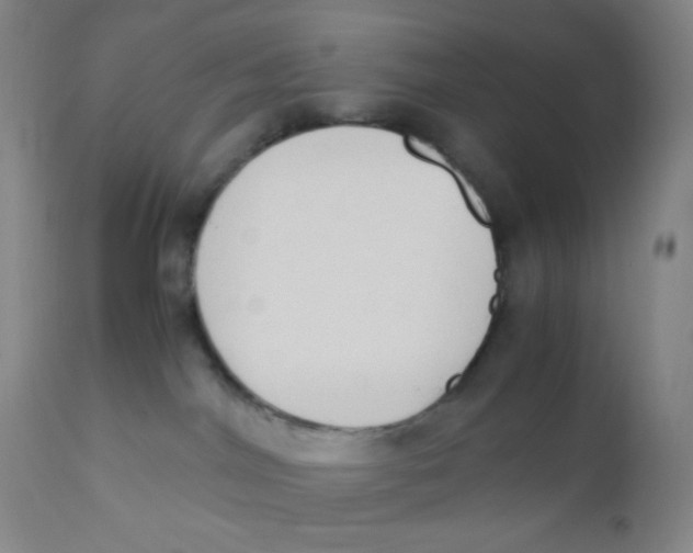 X0000110730044200907022120