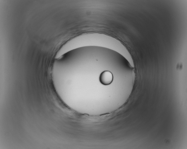 X0000110730045200907022120