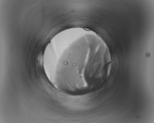 X0000110730046200907022120