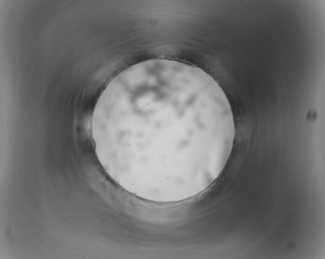 X0000110730047200907022120