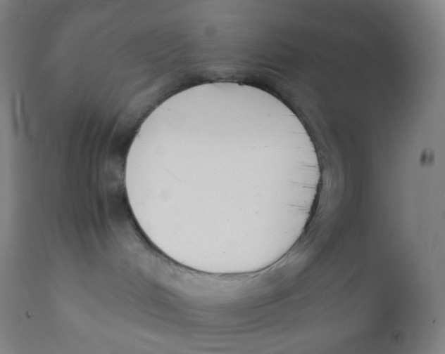 X0000110730048200907022120