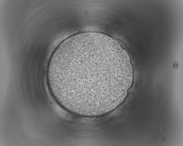 X0000110730049200907022120