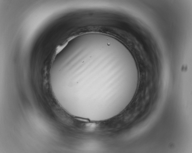 X0000110730050200907022120