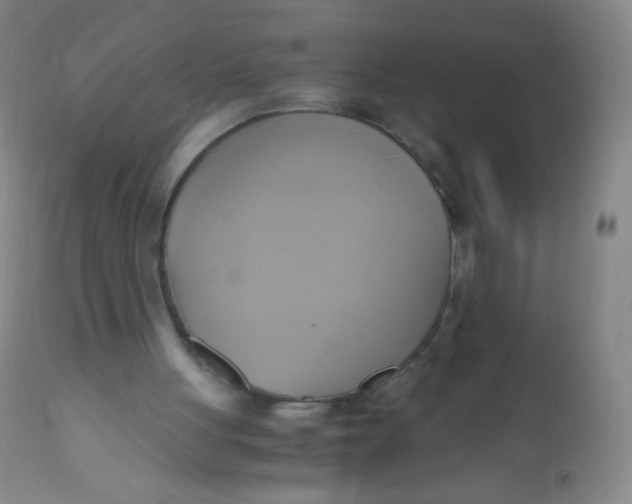 X0000110730051200907022120