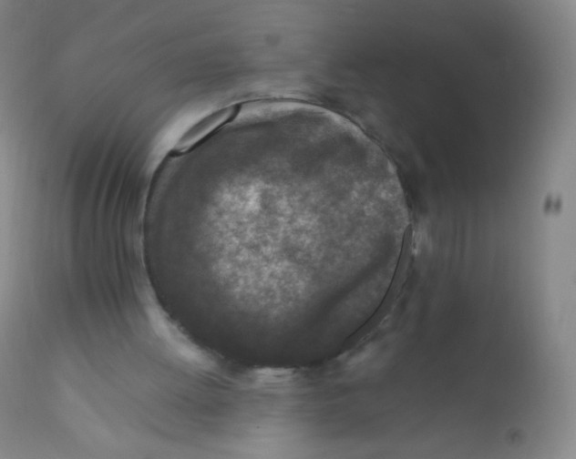 X0000110730052200907022120