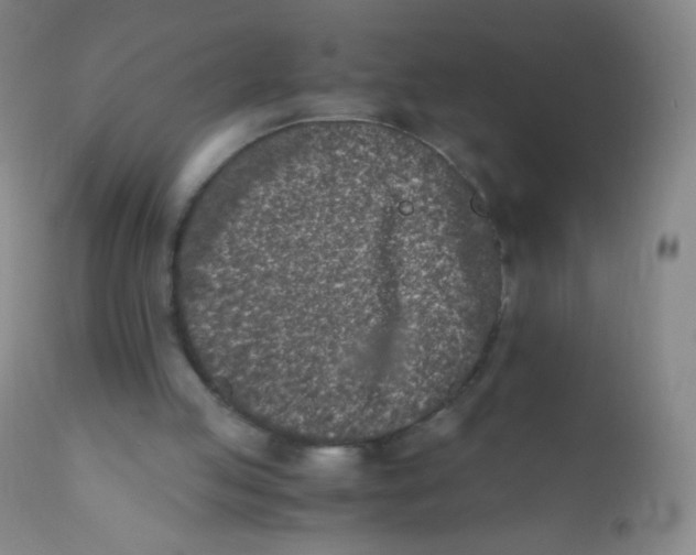 X0000110730053200907022120