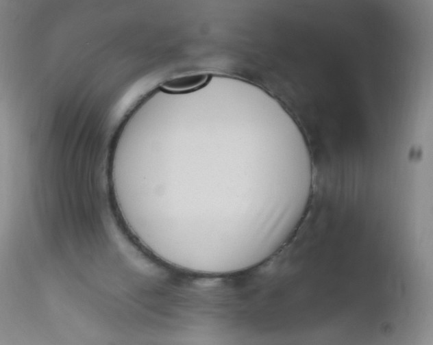 X0000110730054200907022120