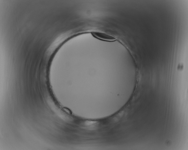 X0000110730055200907022120