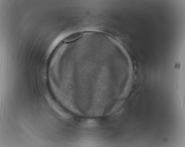 X0000110730056200907022120