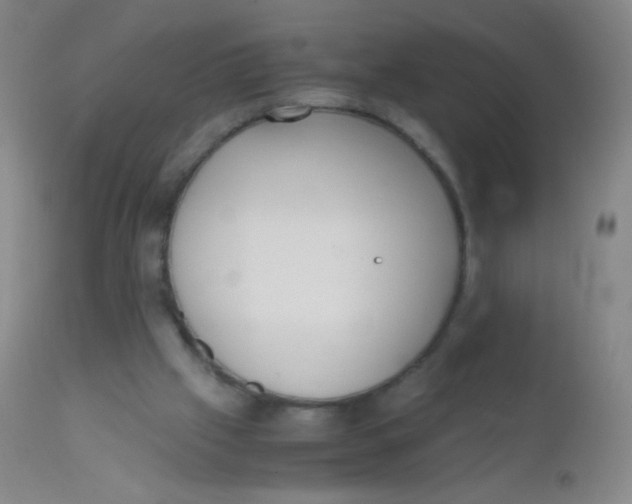 X0000110730057200907022120