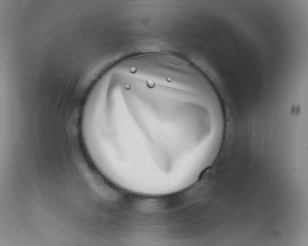 X0000110730058200907022120