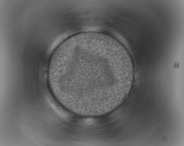 X0000110730059200907022120