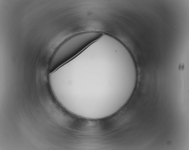 X0000110730060200907022120