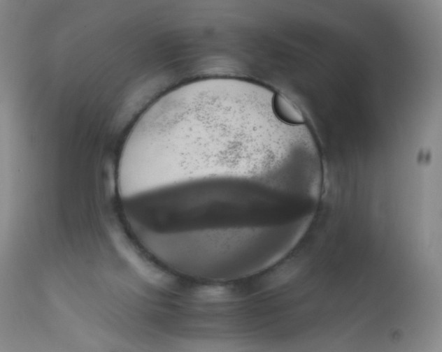 X0000110730061200907022120