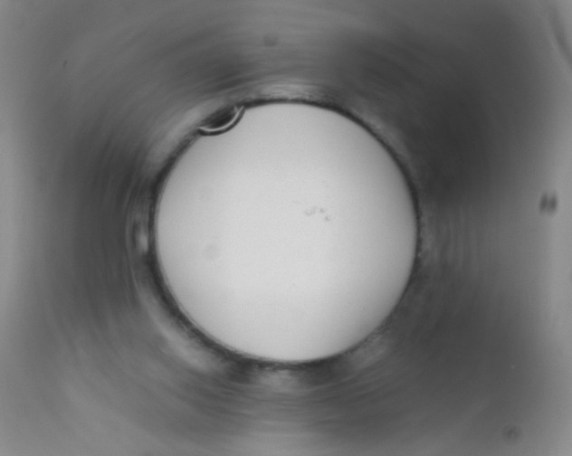 X0000110730062200907022120