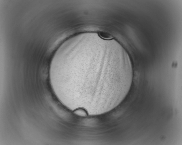 X0000110730063200907022120