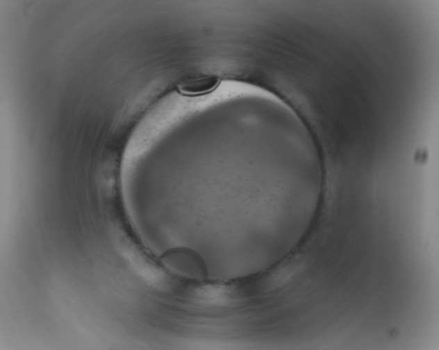 X0000110730065200907022120