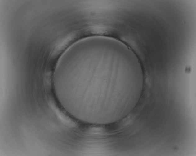 X0000110730066200907022120