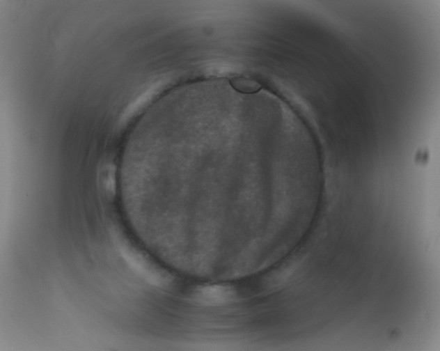 X0000110730067200907022120