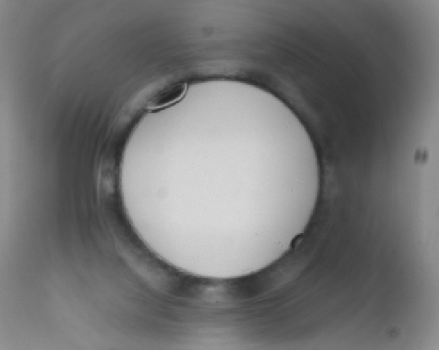 X0000110730068200907022120