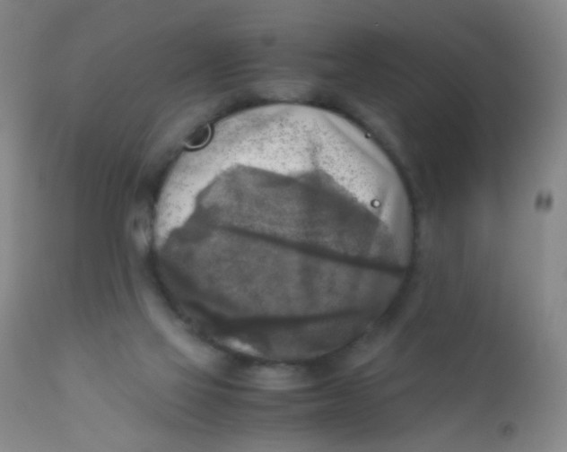 X0000110730069200907022120