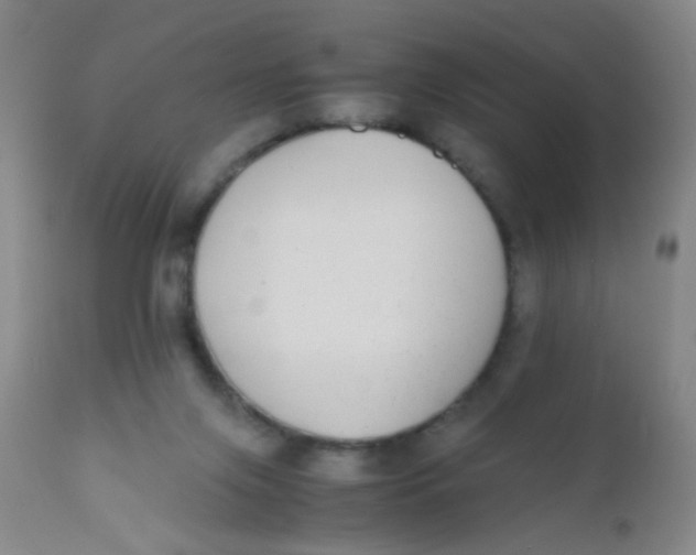 X0000110730071200907022120