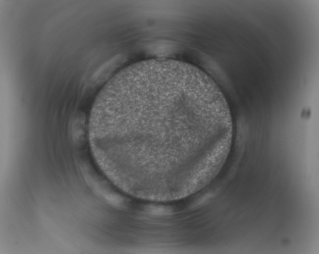 X0000110730073200907022120