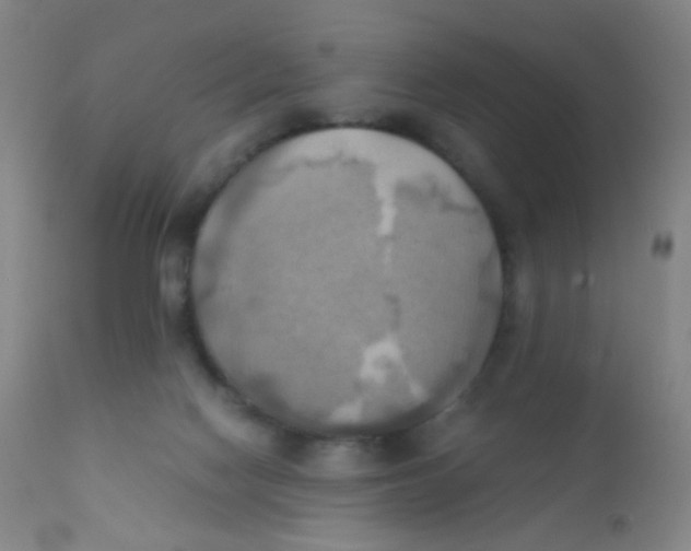 X0000110730074200907022120