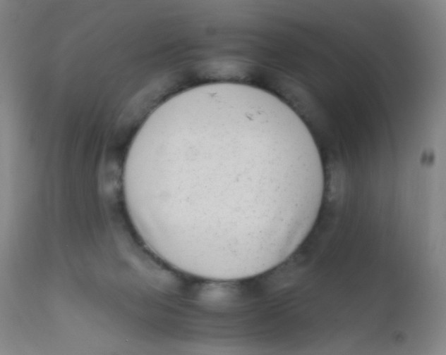 X0000110730077200907022120