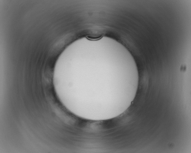 X0000110730078200907022120