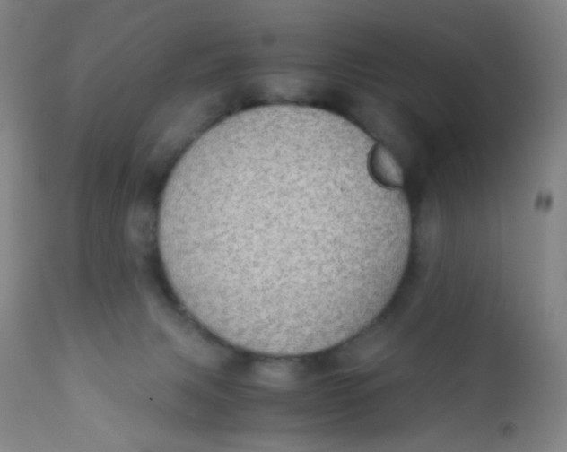 X0000110730079200907022120