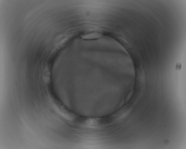 X0000110730080200907022120