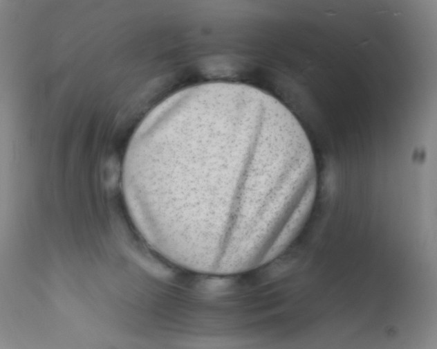 X0000110730081200907022120