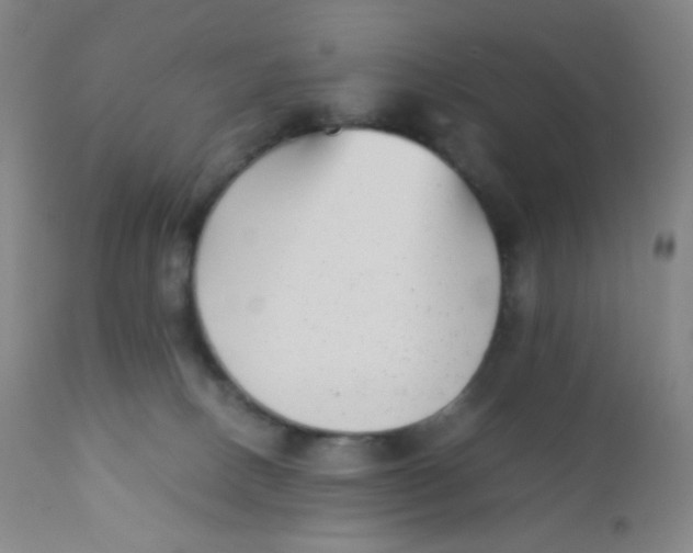 X0000110730082200907022120